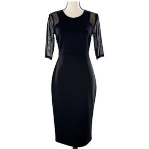 EN FOCUS STUDIO Elegant Black Dress with Sheer Sleeves SIZE 6 Women’s 	6